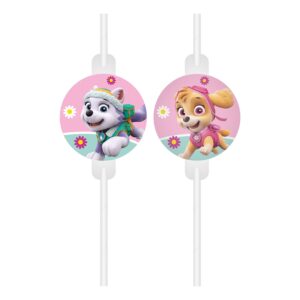 Köp Sugrör Paw Patrol Skye & Everest - 4-pack från Globos Europe hos Partykungen.